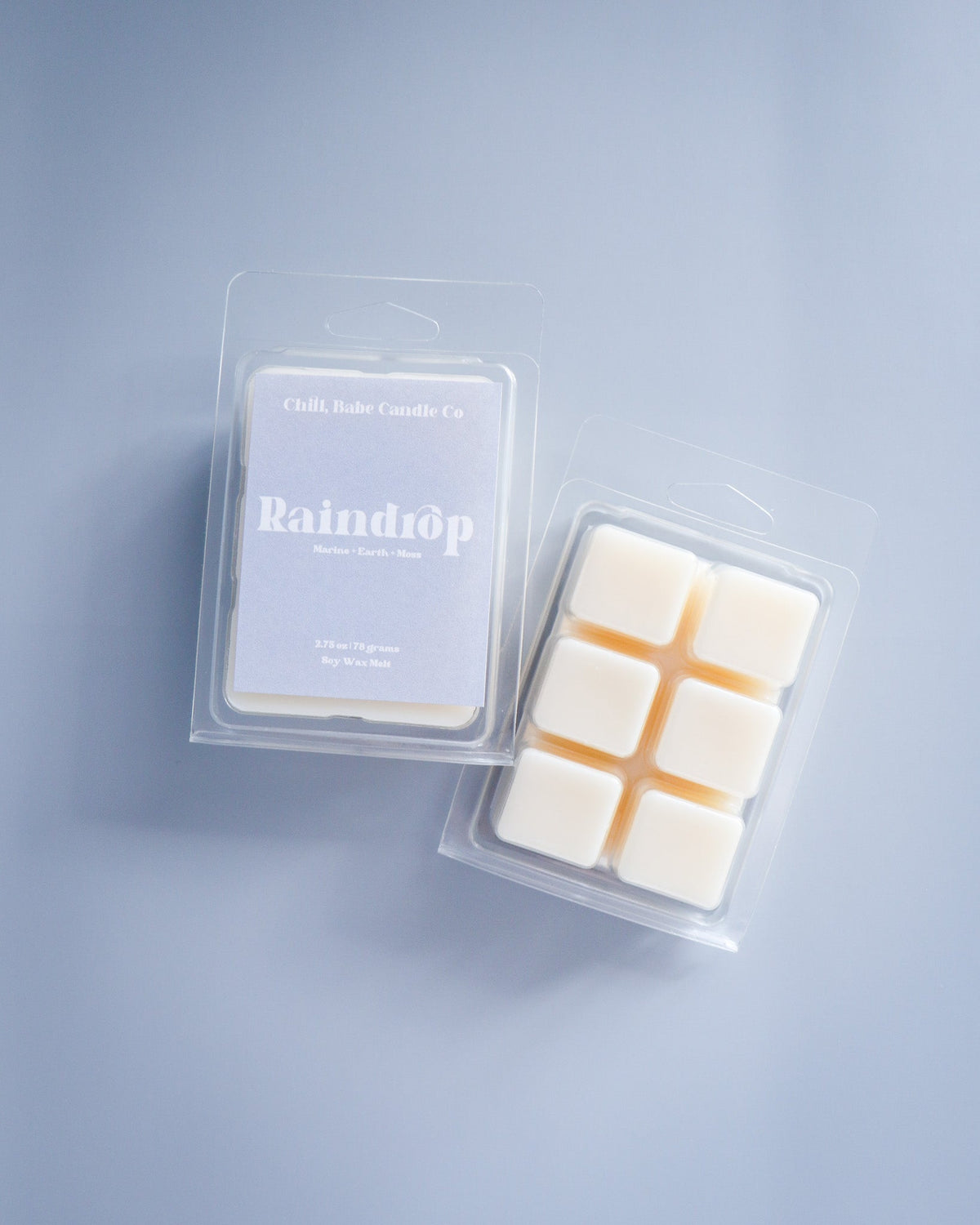 Raindrop Wax Melt | Ozone + Earth + Moss
