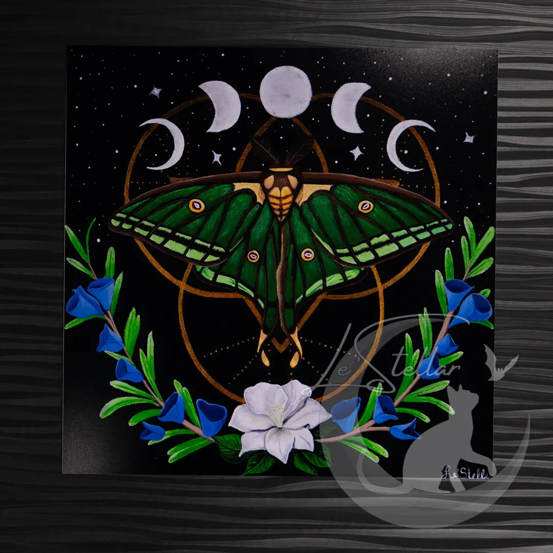 Spanish Moon Moth Acrylic Painting: Moon Phases Bedroom Decor