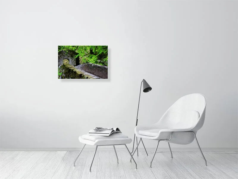 Sample image of Photograph of a stone bridge covered in ivy in a forest in the Scottish highlands.