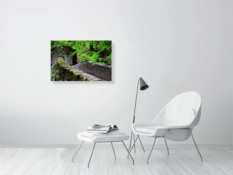 Sample image of Photograph of a stone bridge covered in ivy in a forest in the Scottish highlands.