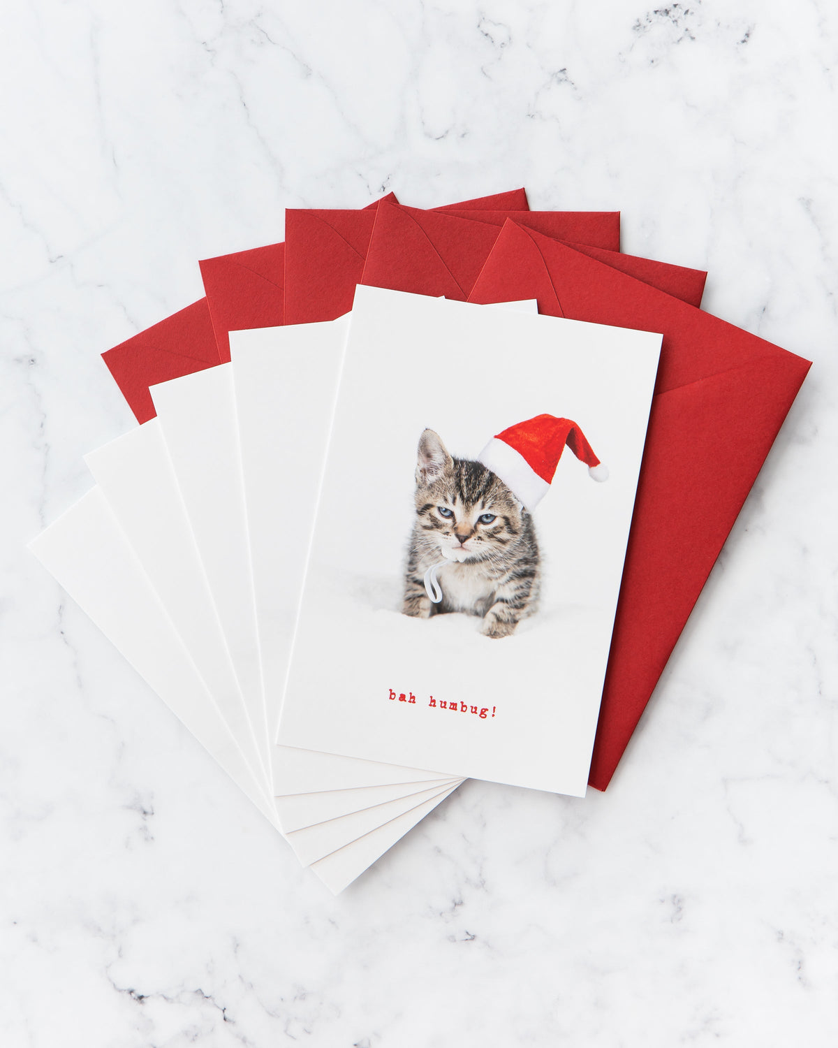Bah Humbug Kitten Holiday Cards (set of 5)