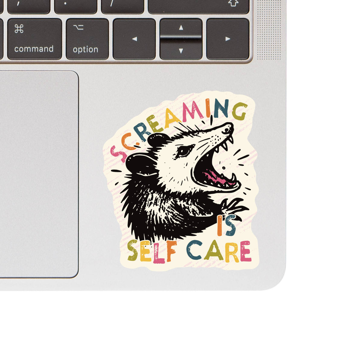 Sticker with an opossum illustration and text &