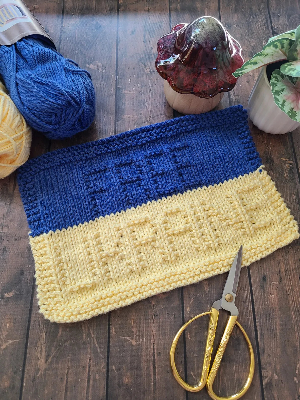 Free Ukraine Dishcloth