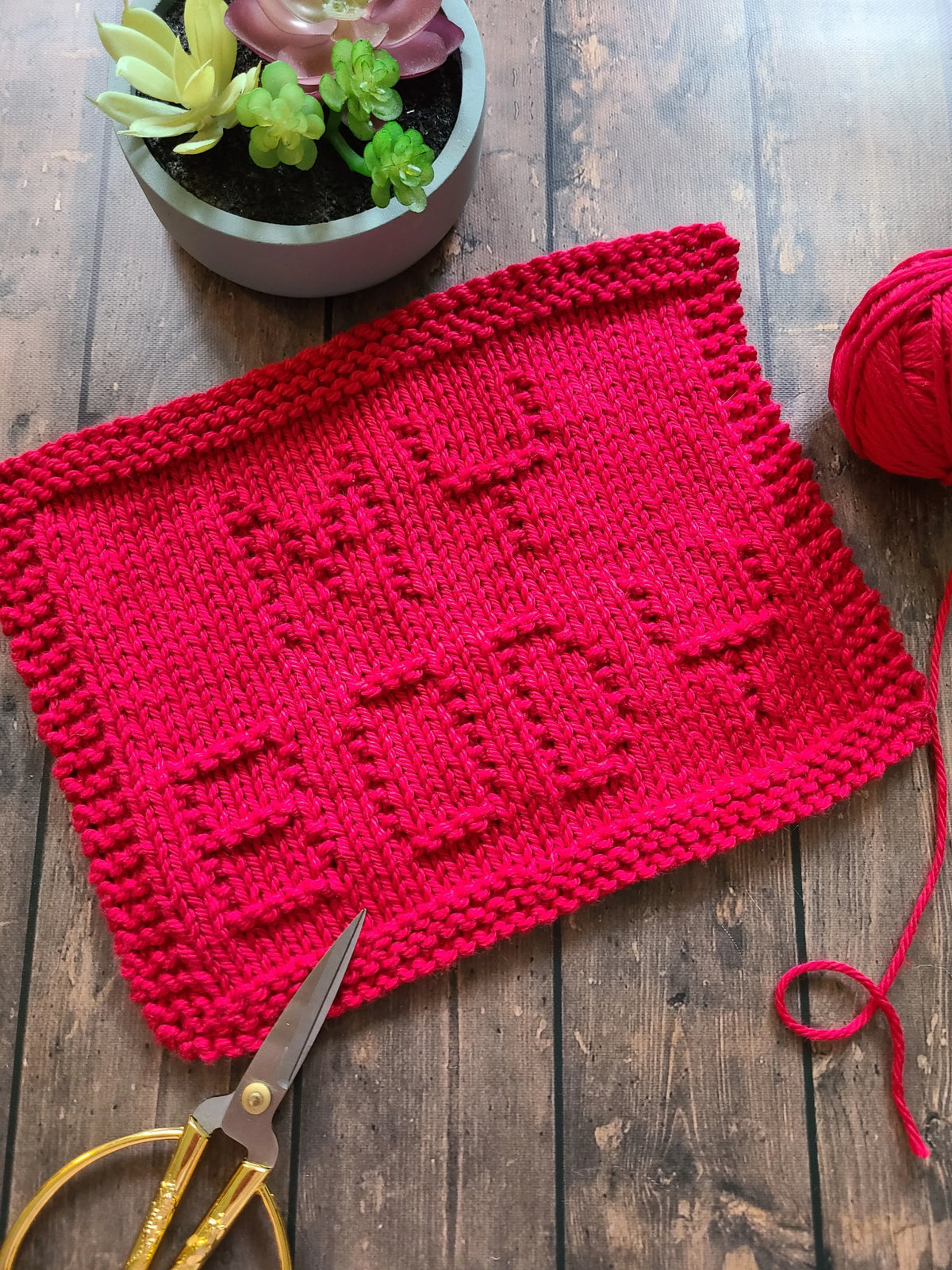 My Body Dishcloth