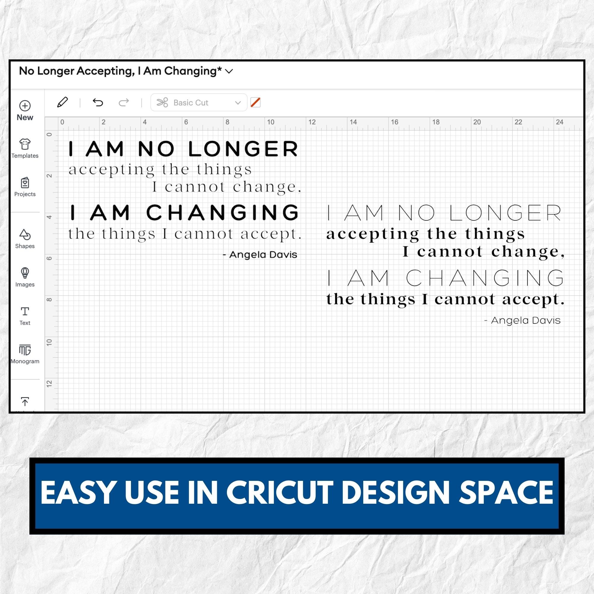 Angela Davis Quote Clipart Bundle | Be the Change Political Activism (Digital Download)