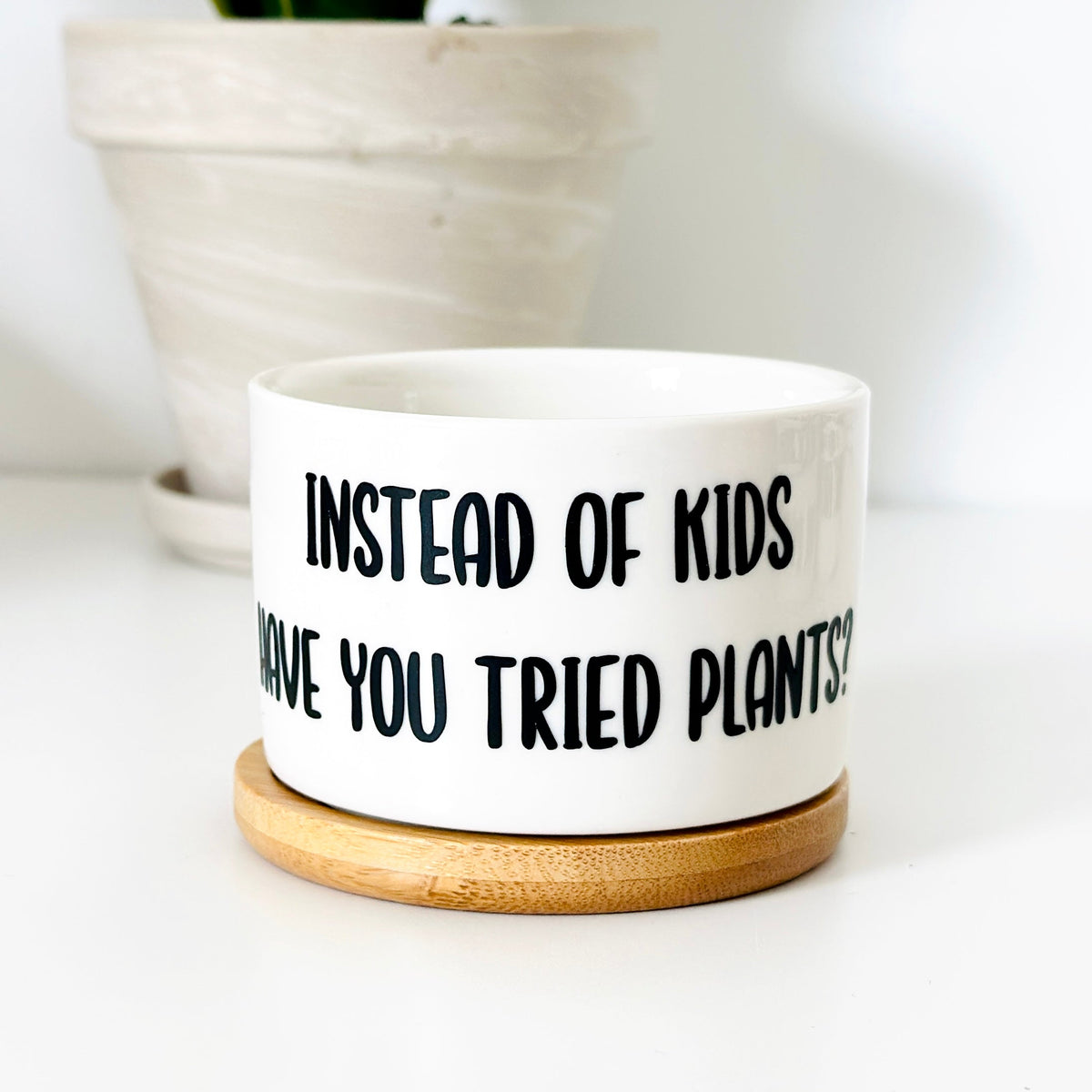Funny, Cute and Sarcastic Mini Planters