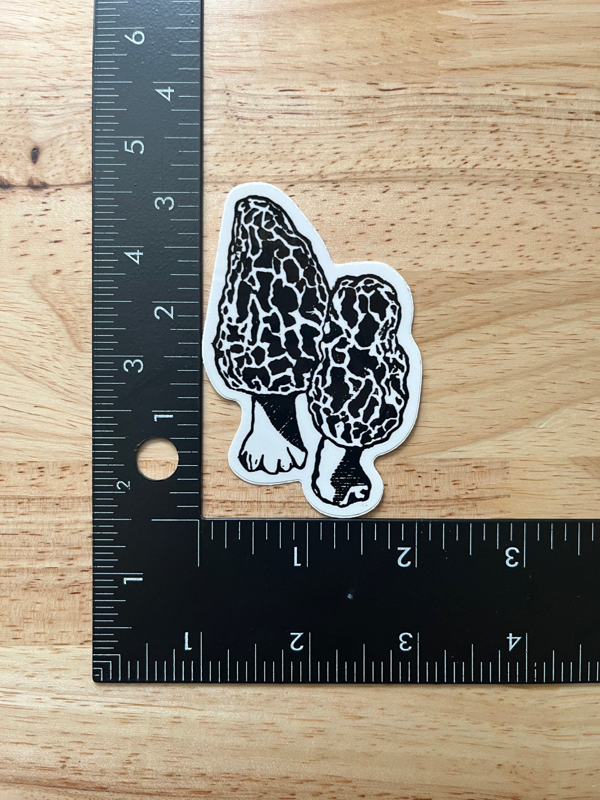 Morel Mushrooms Sticker - weatherproof adhesive, UV protective laminate