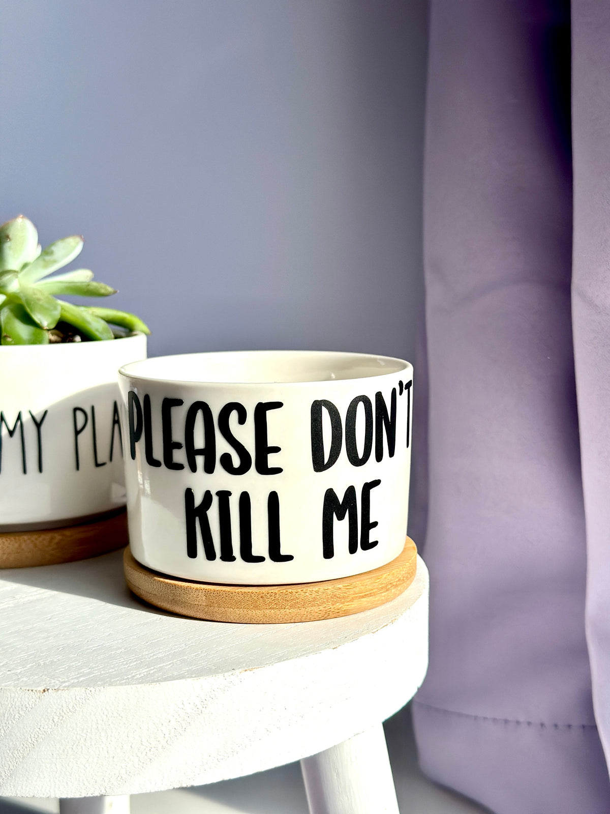 Funny, Cute and Sarcastic Mini Planters