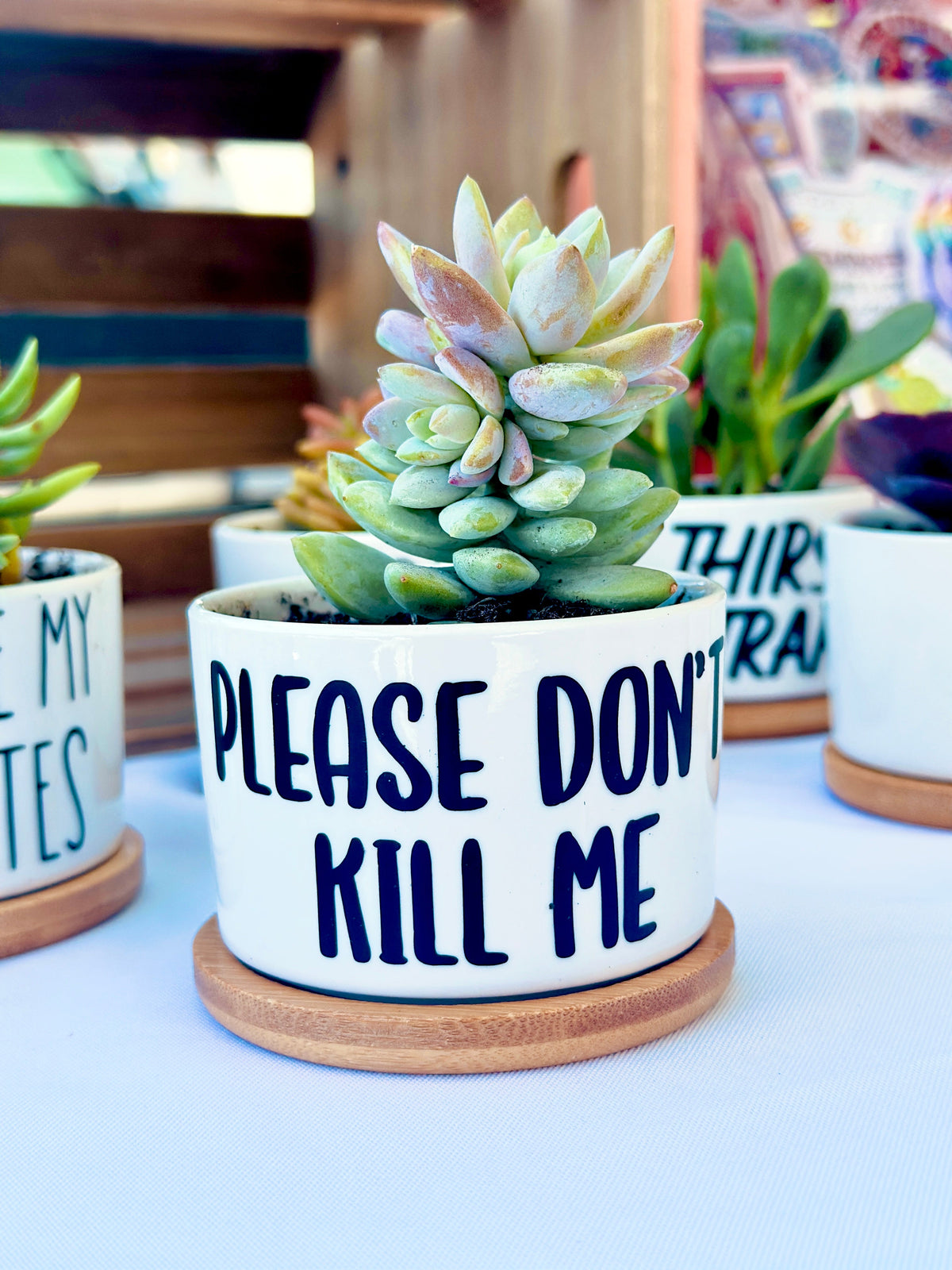 Funny, Cute and Sarcastic Mini Planters