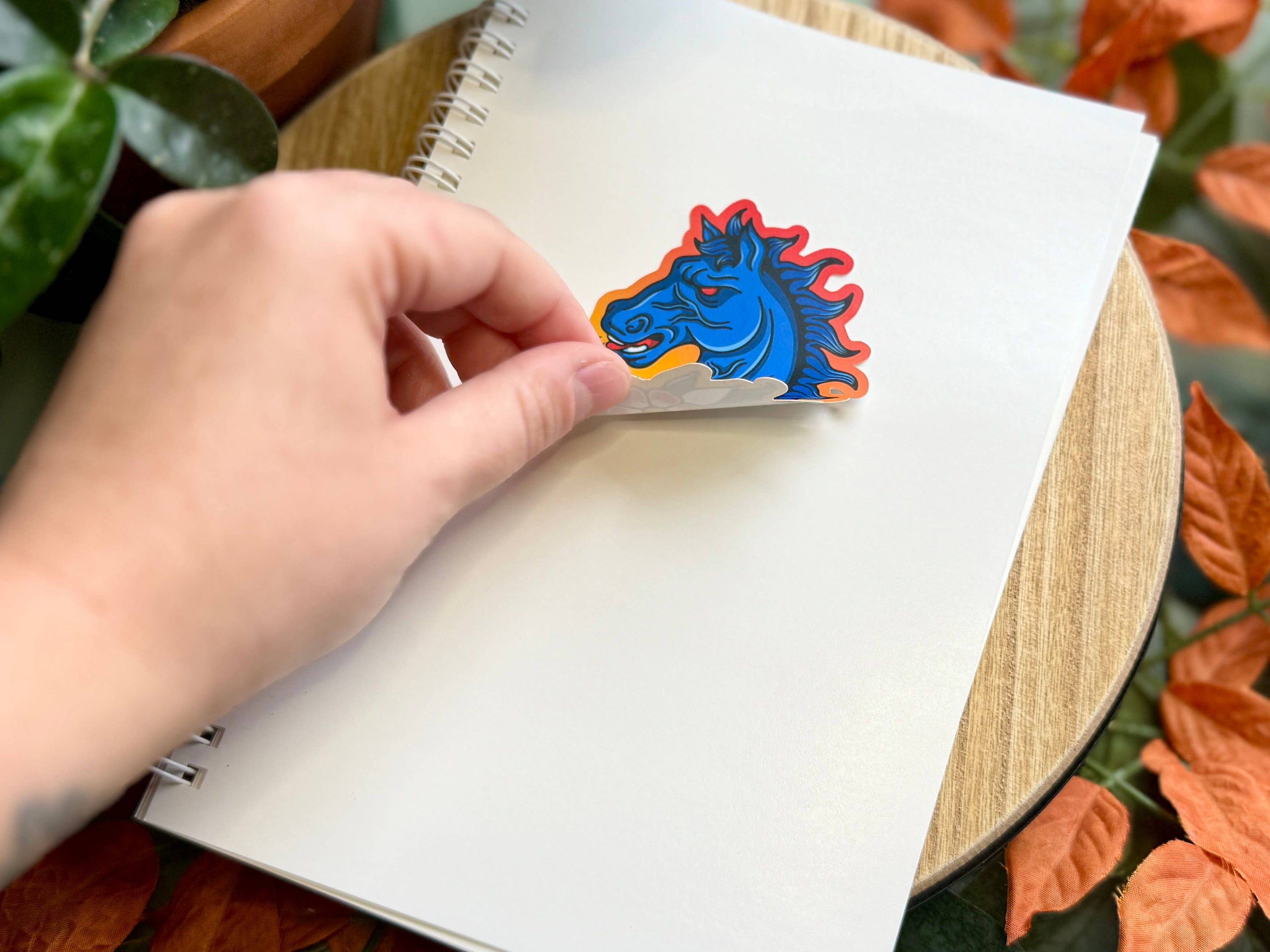Reusable Sticker Book | A5 Sticker Collector Album with 100 Reusable Pages