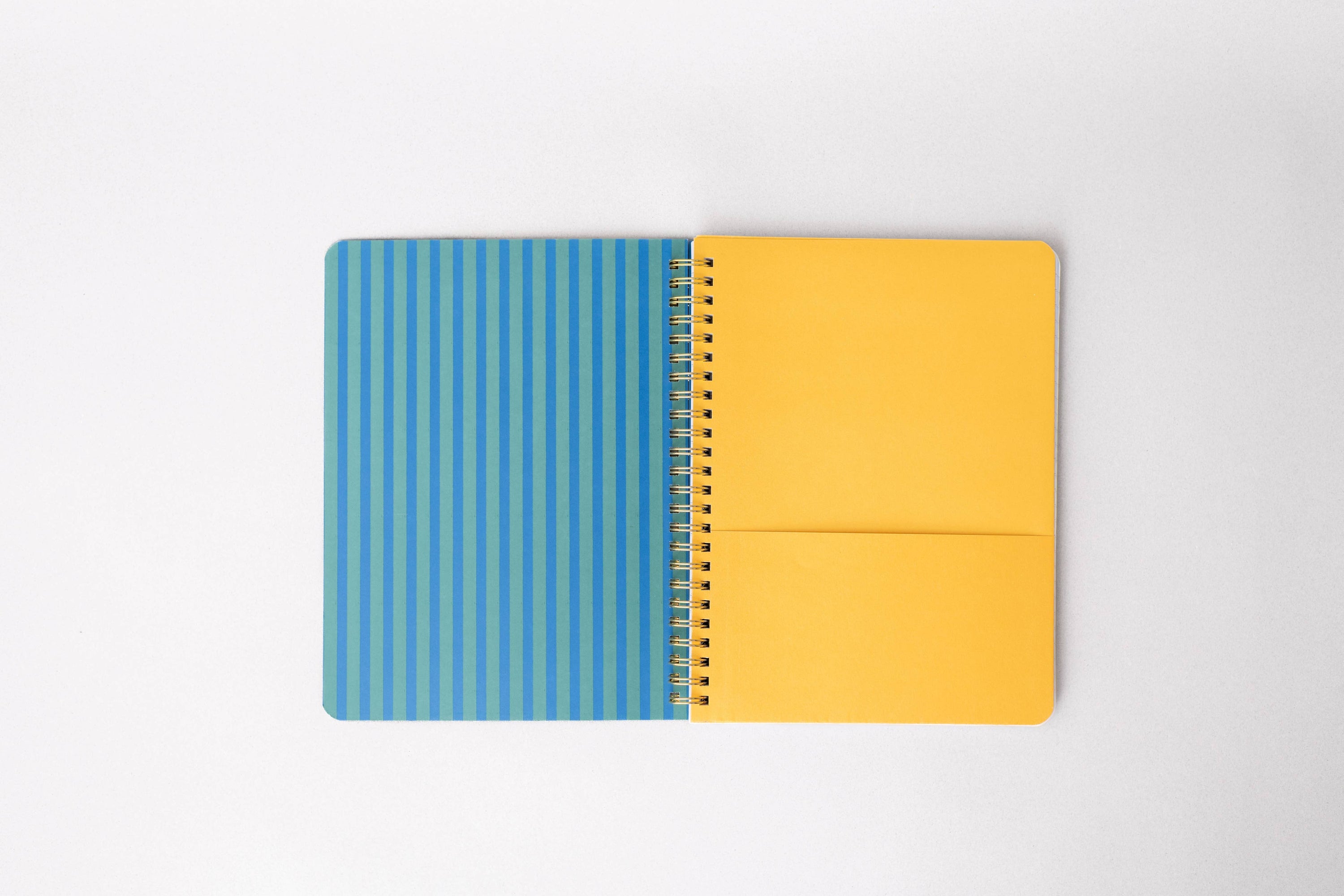 Rough Draft Notebook, Tulips