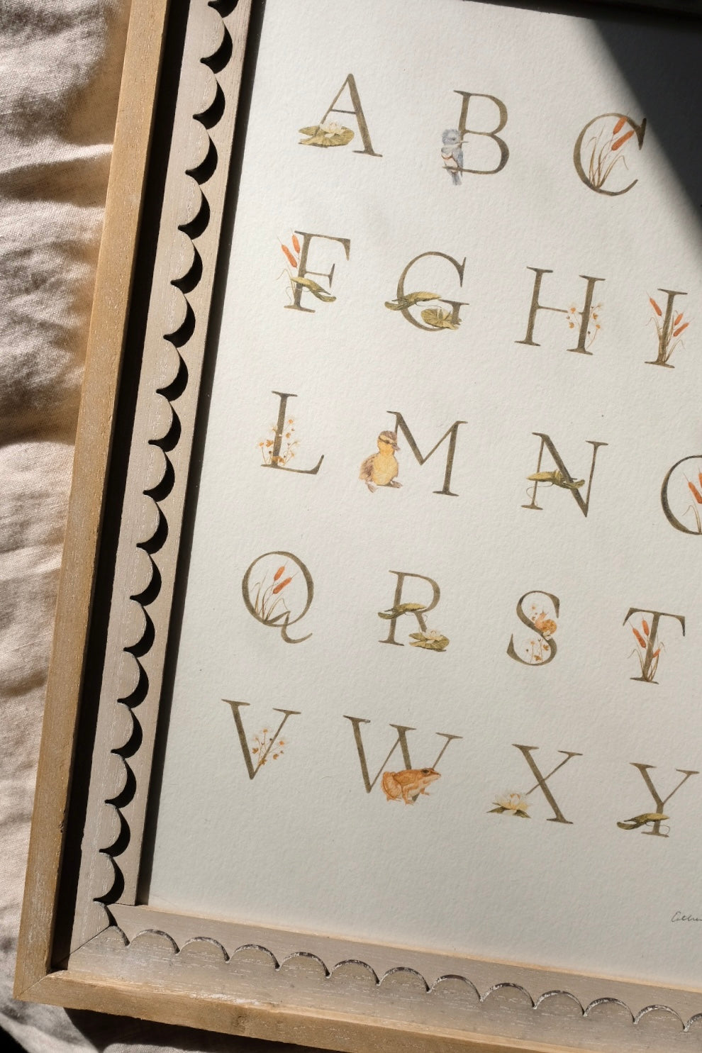 Pond Alphabet