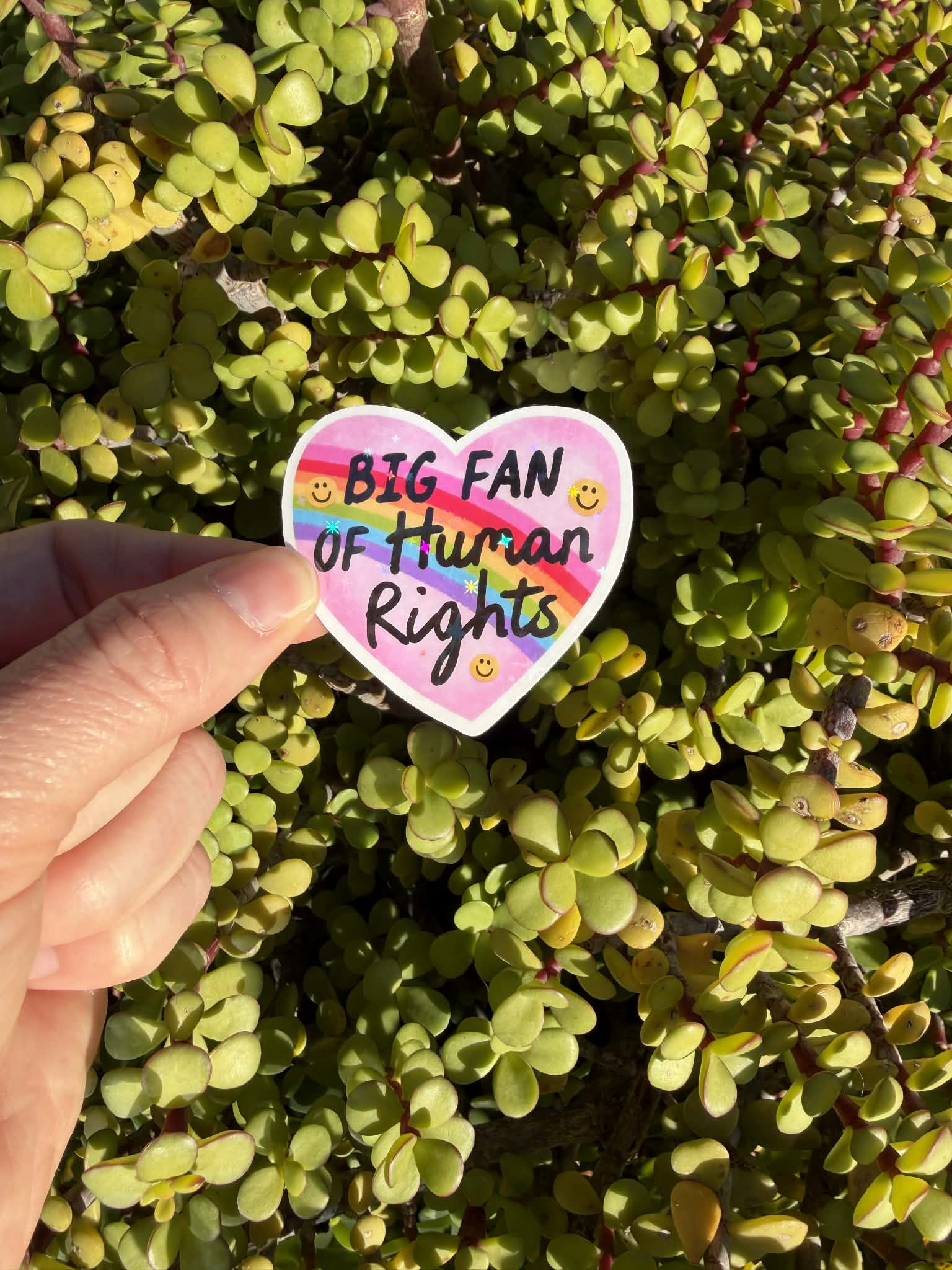 Big Fan of Human Rights Sticker | Rainbow Heart Vinyl Sticker | Pro Equality Pride Sticker 2" or 3"