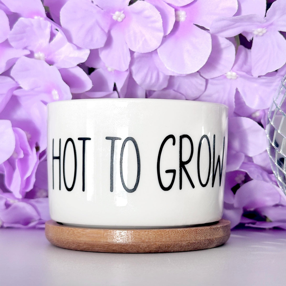 Funny, Cute and Sarcastic Mini Planters