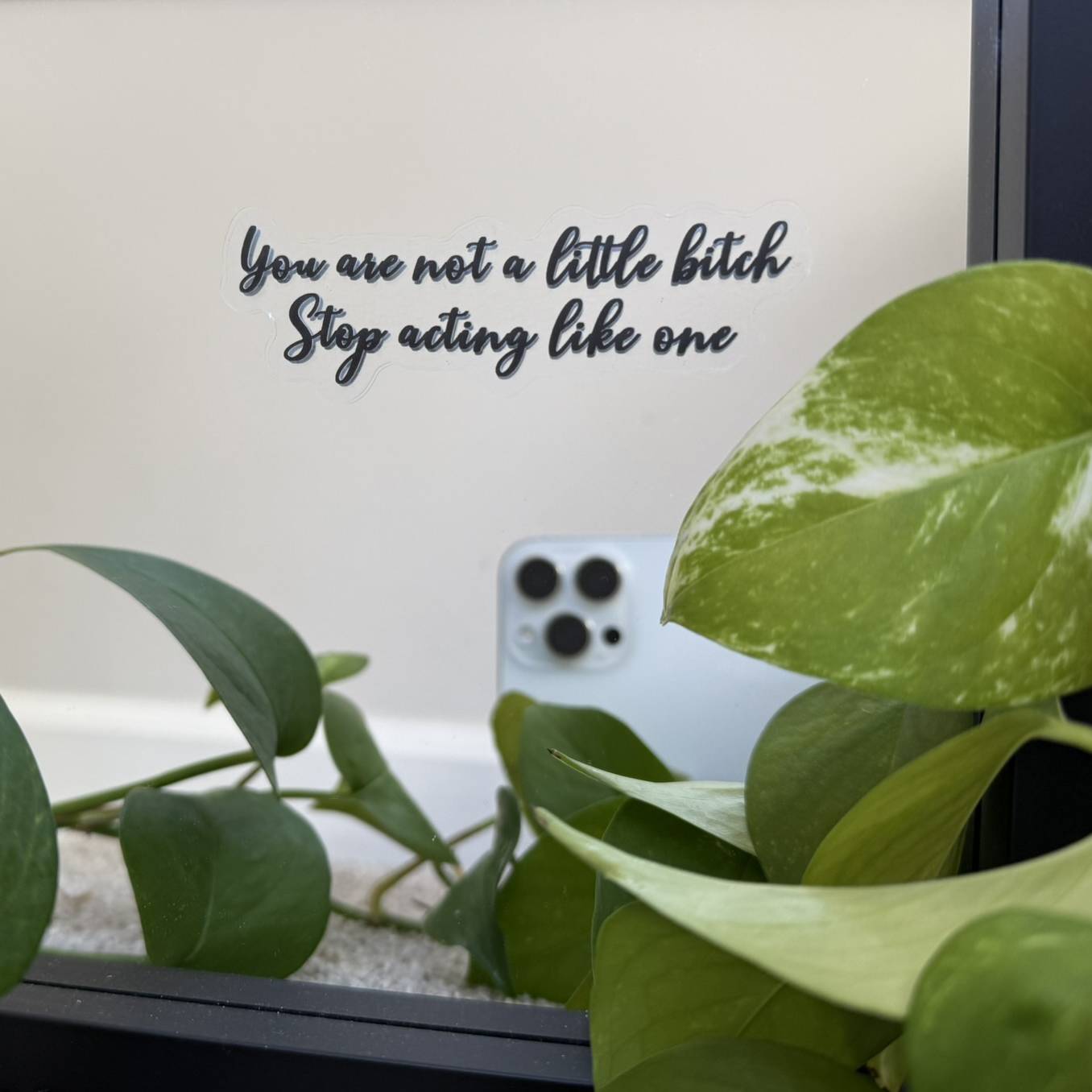 You are not a little bitch Stop acting like one - Motivational Mirror Cling Reusable Window Decal