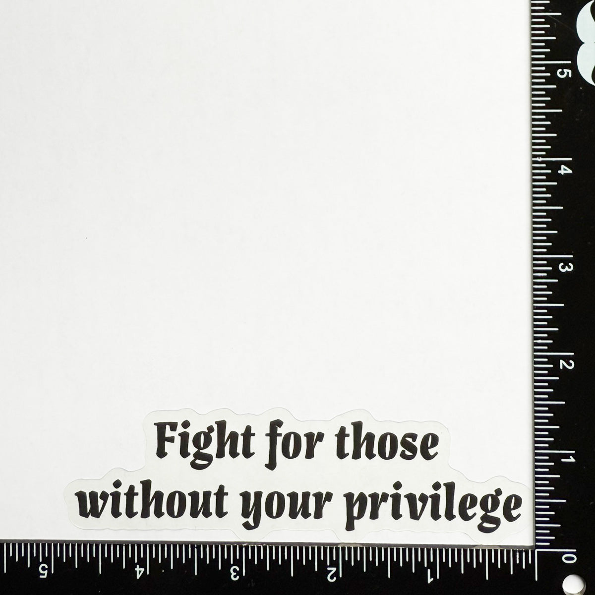 Fight for those without your privilege - Motivational Mirror Cling Reusable Window Decal