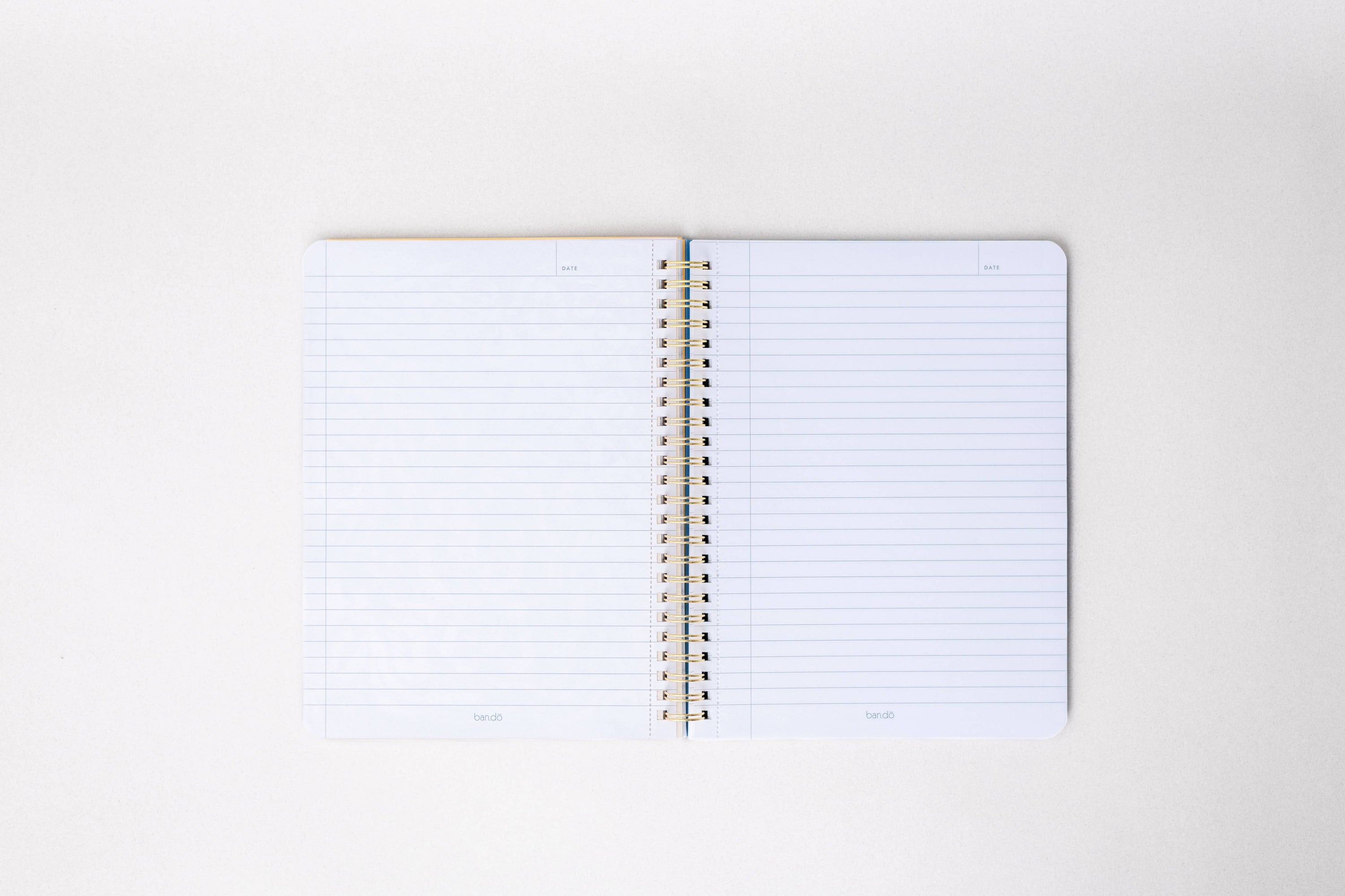 Rough Draft Notebook, Tulips