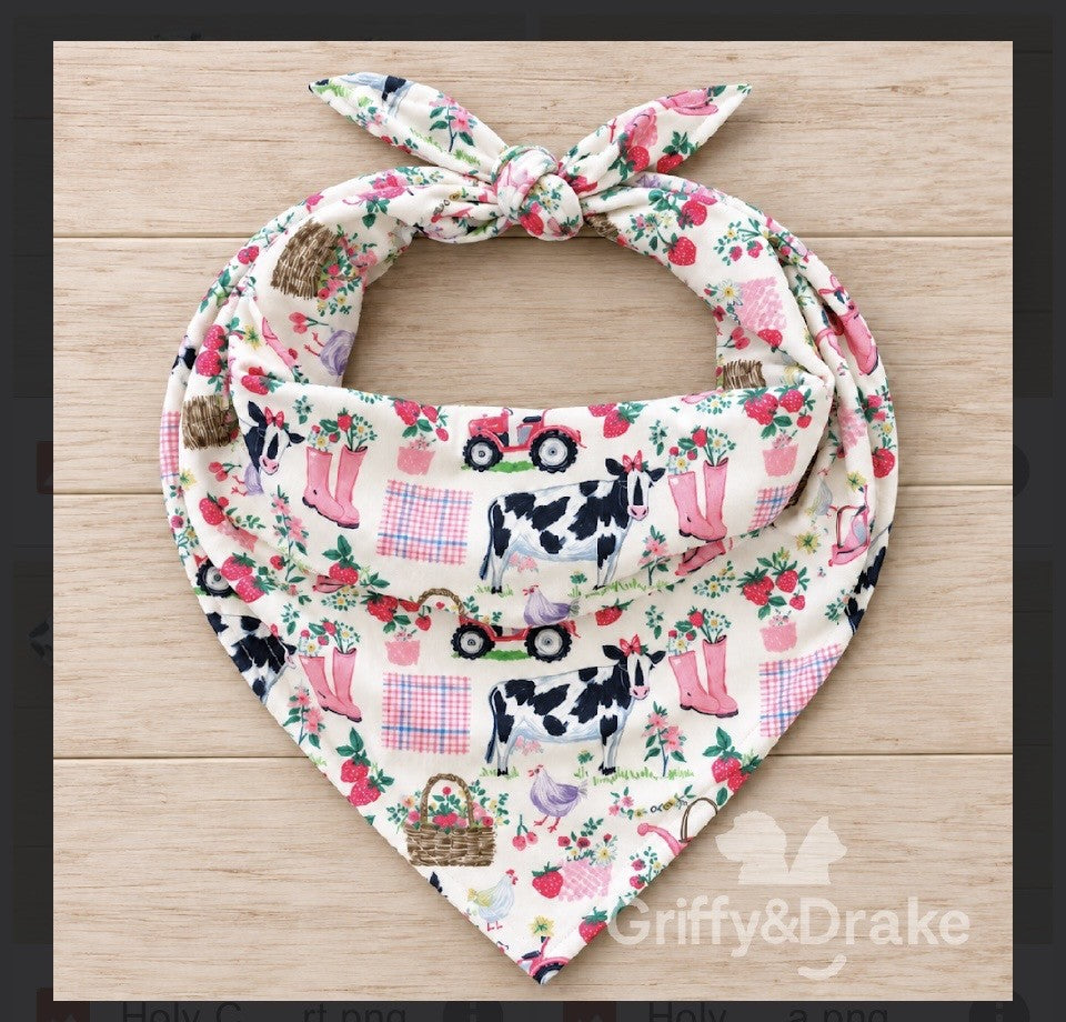 The Classic Bandana Collection in Multiple Patterns & Sizes