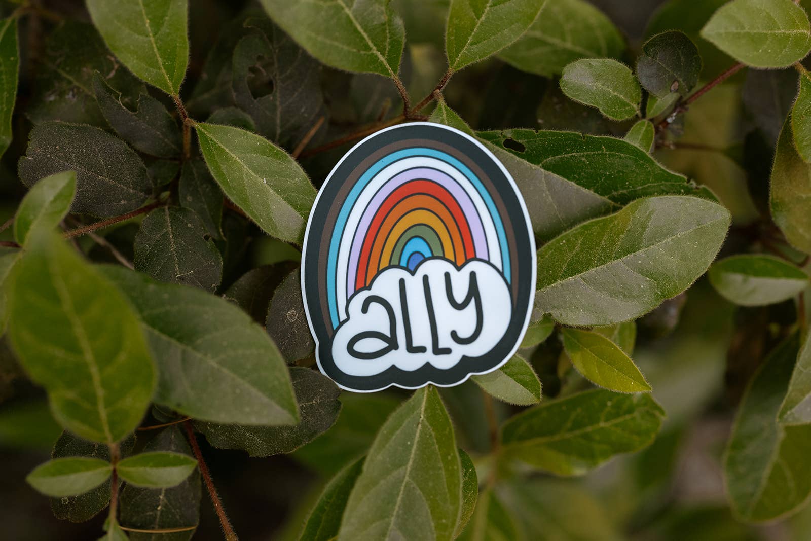 Sticker with a rainbow and &