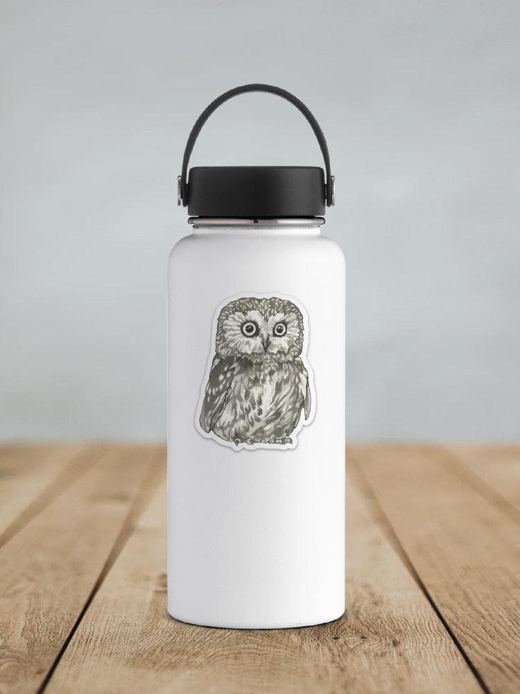 Owl Sticker