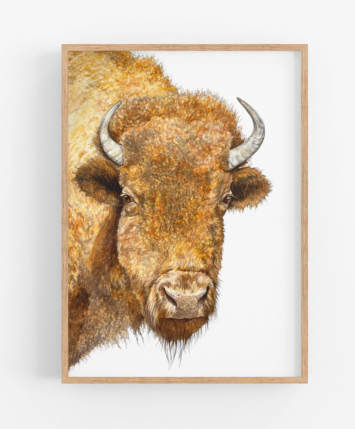 buffalo portrait illustration in frame