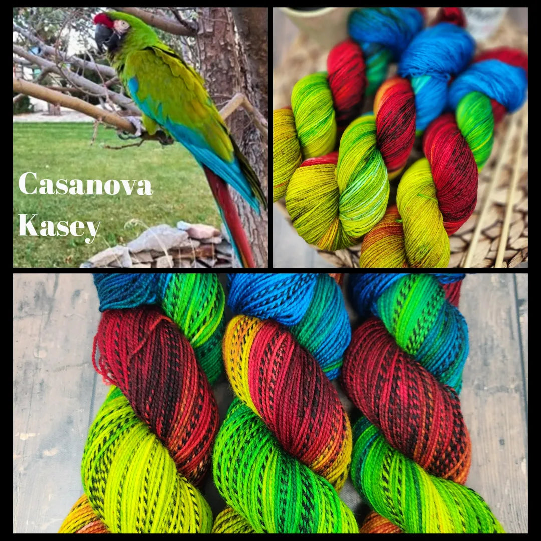 Casanova Kasey