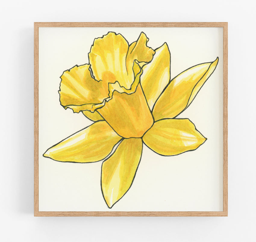 Daffodil Print