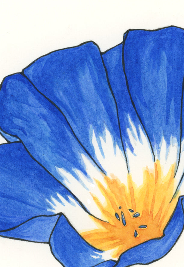 Morning Glory Print