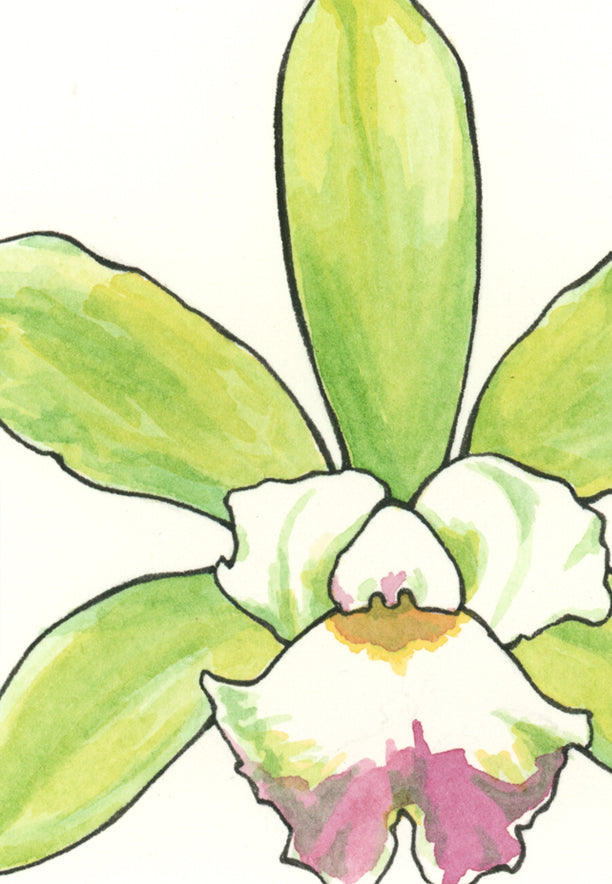 Heart Orchid Print