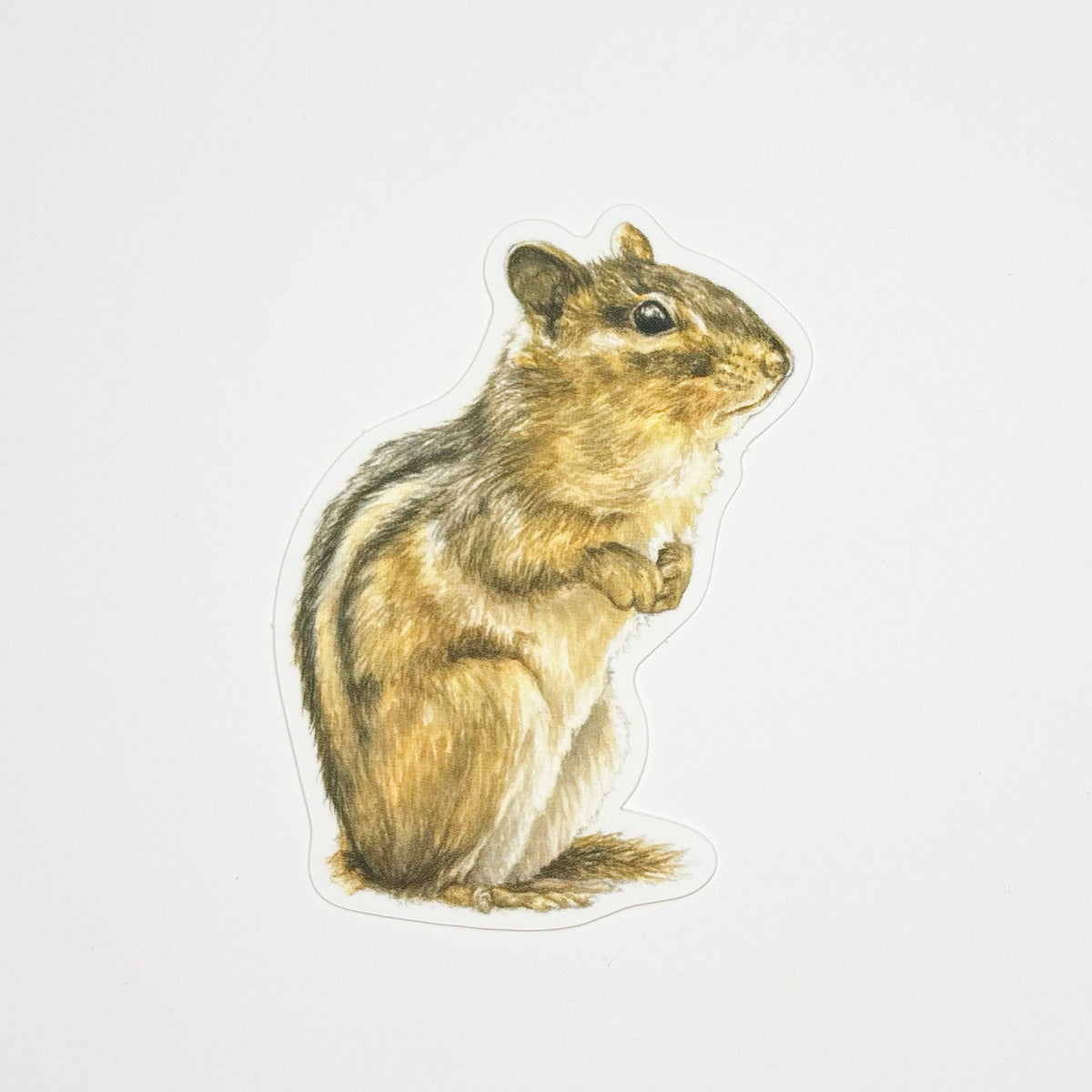Sticker of a chipmunk on a white background