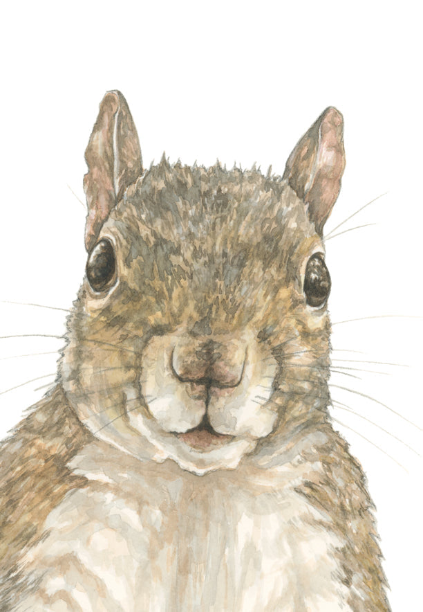 Curious Squirrel Print