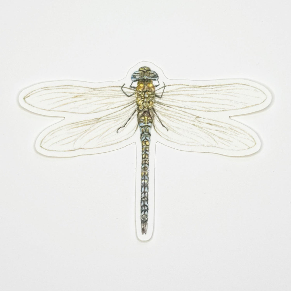 Dragonfly Sticker