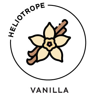 vanilla essential oil