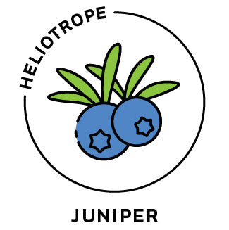 essential oils aromatherapy blending customize juniper