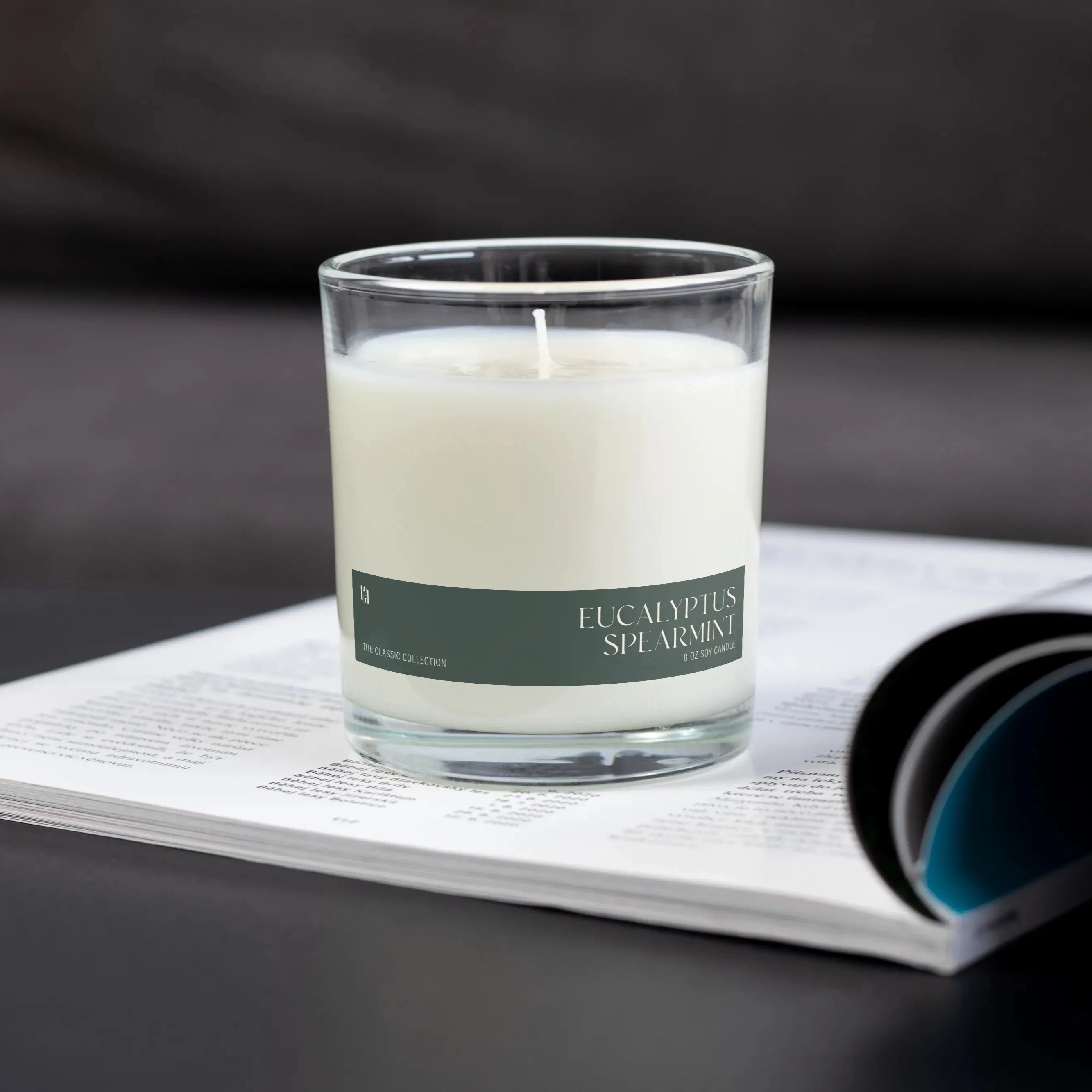 eucalyptus spearmint candle