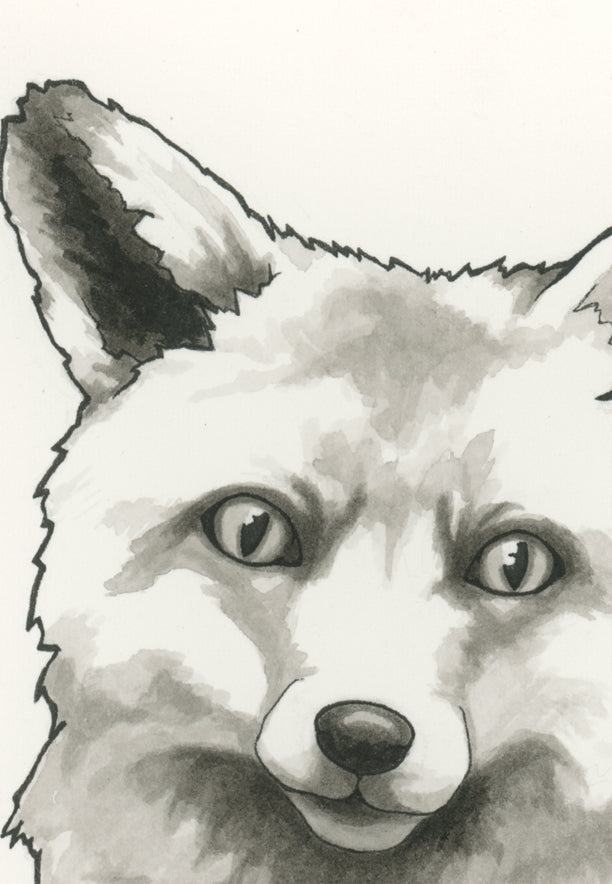 Fox Print