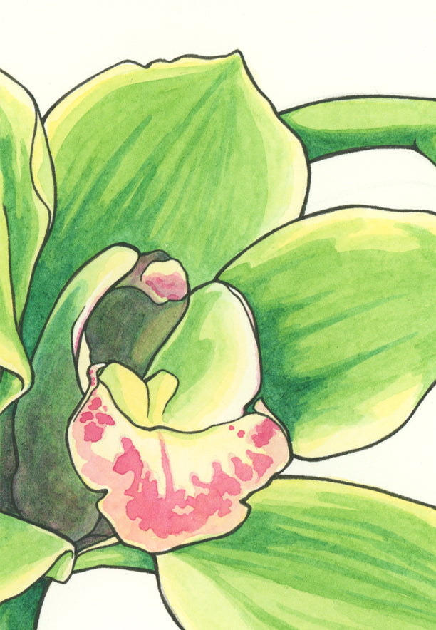 Green Orchid Print