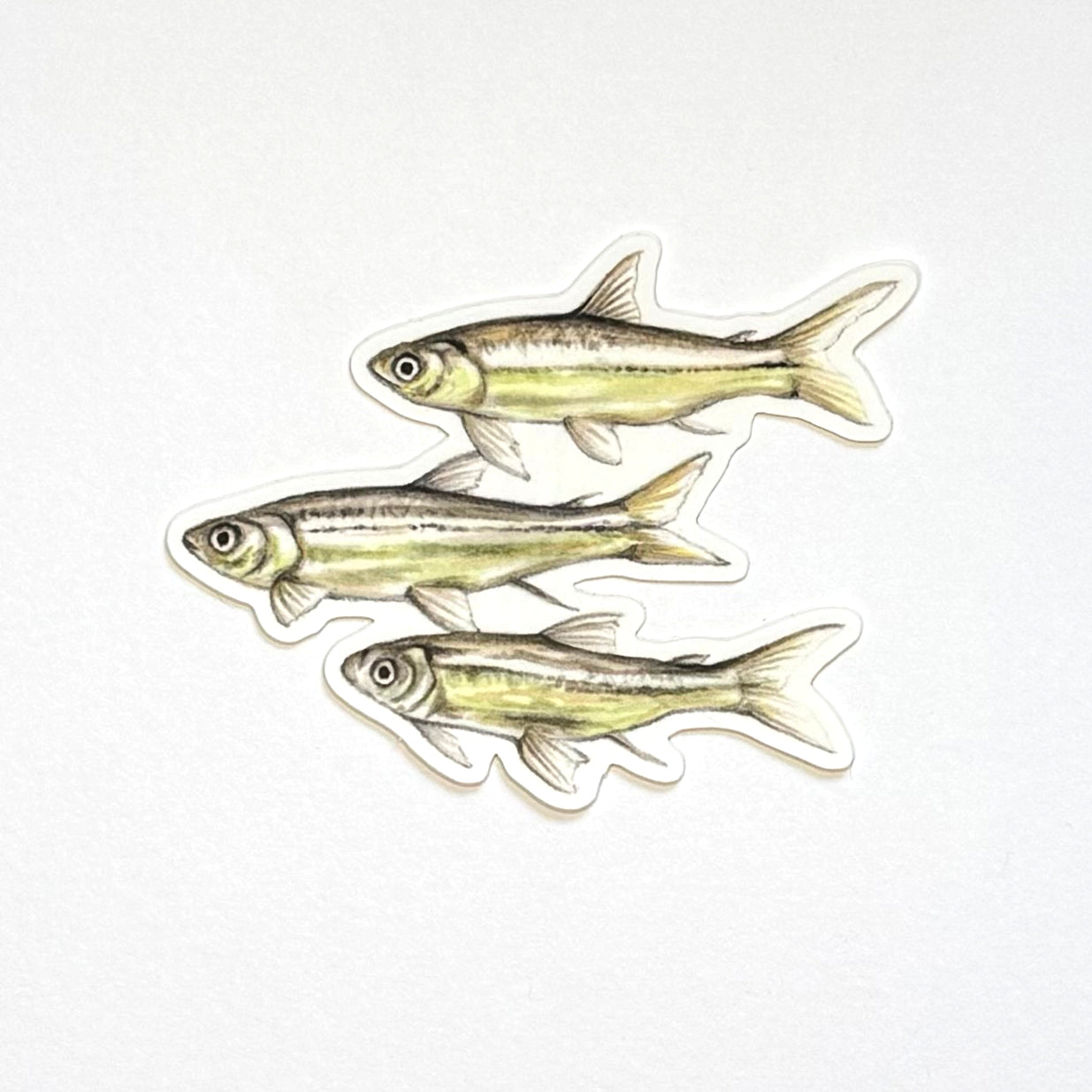 Guppies Sticker