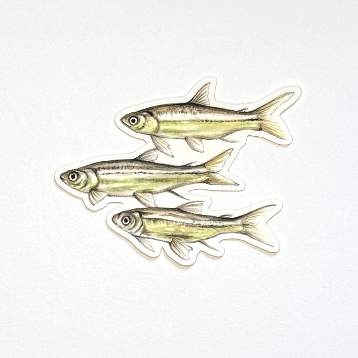 Guppies Sticker