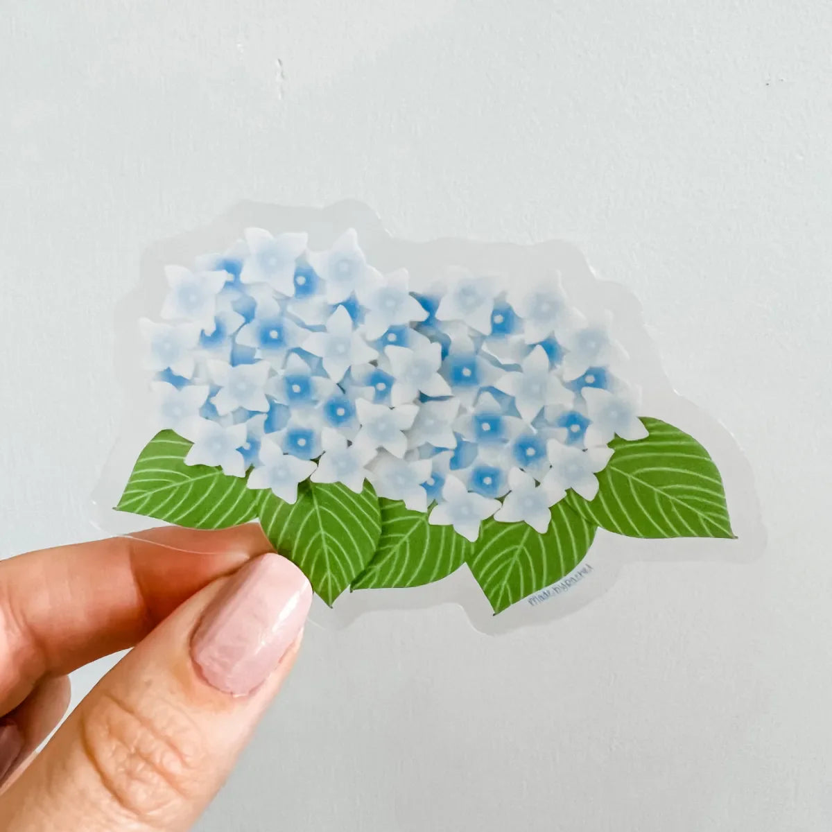 Hydrangea sticker