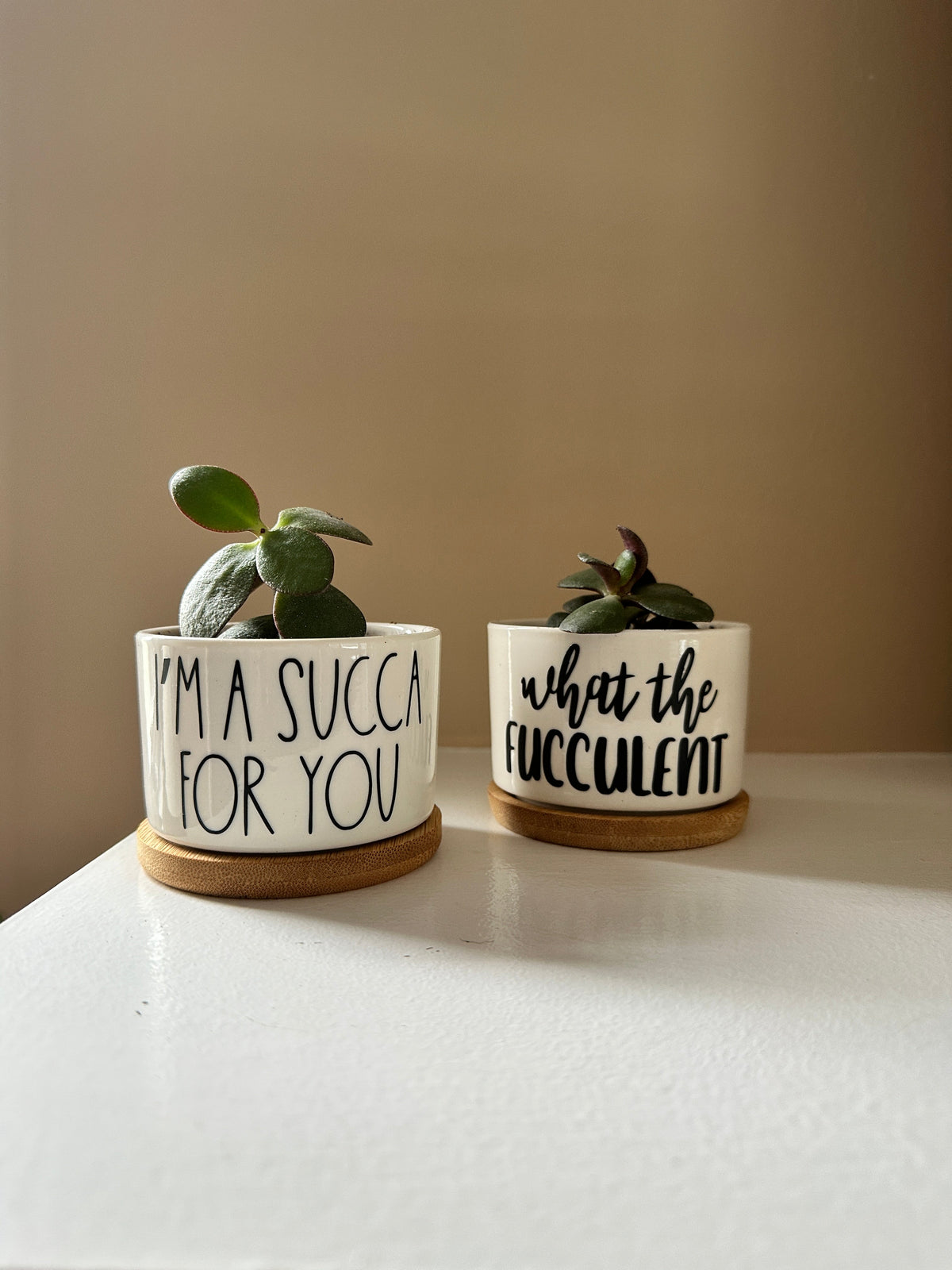 Funny, Cute and Sarcastic Mini Planters