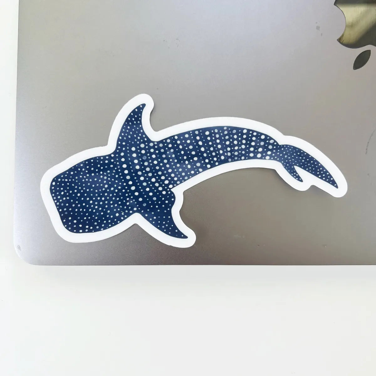 Whale Shark sticker