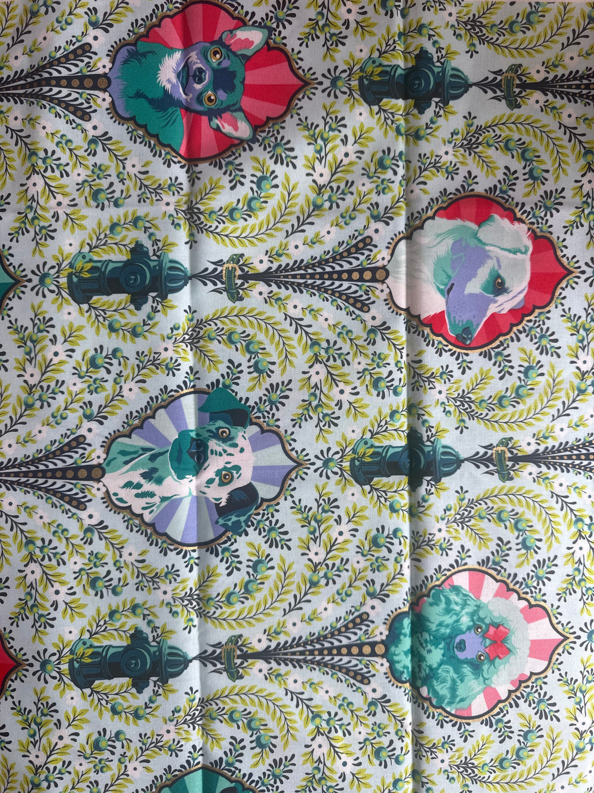 Puppy Dog Eyes from Besties by Tula Pink 1/2 Yard