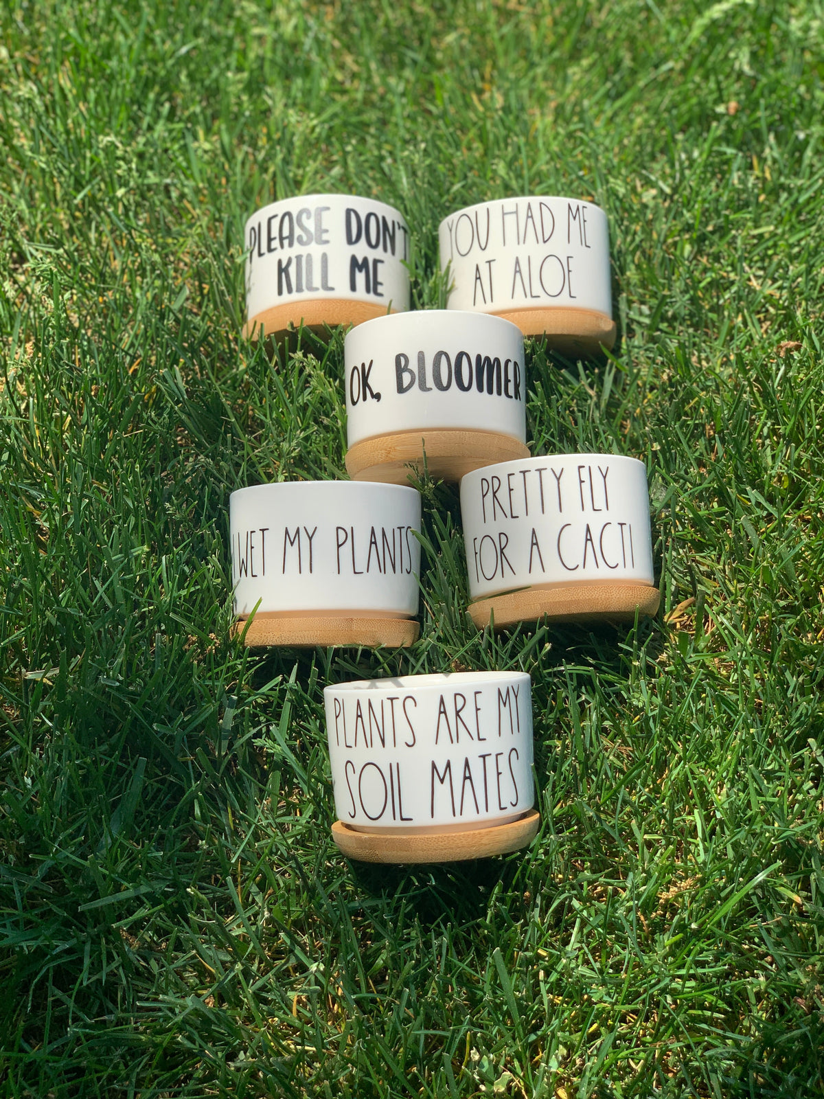 Funny, Cute and Sarcastic Mini Planters