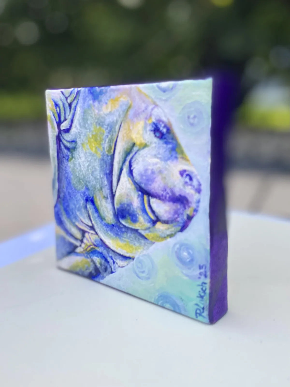 Mini-Manatee in Mulberry