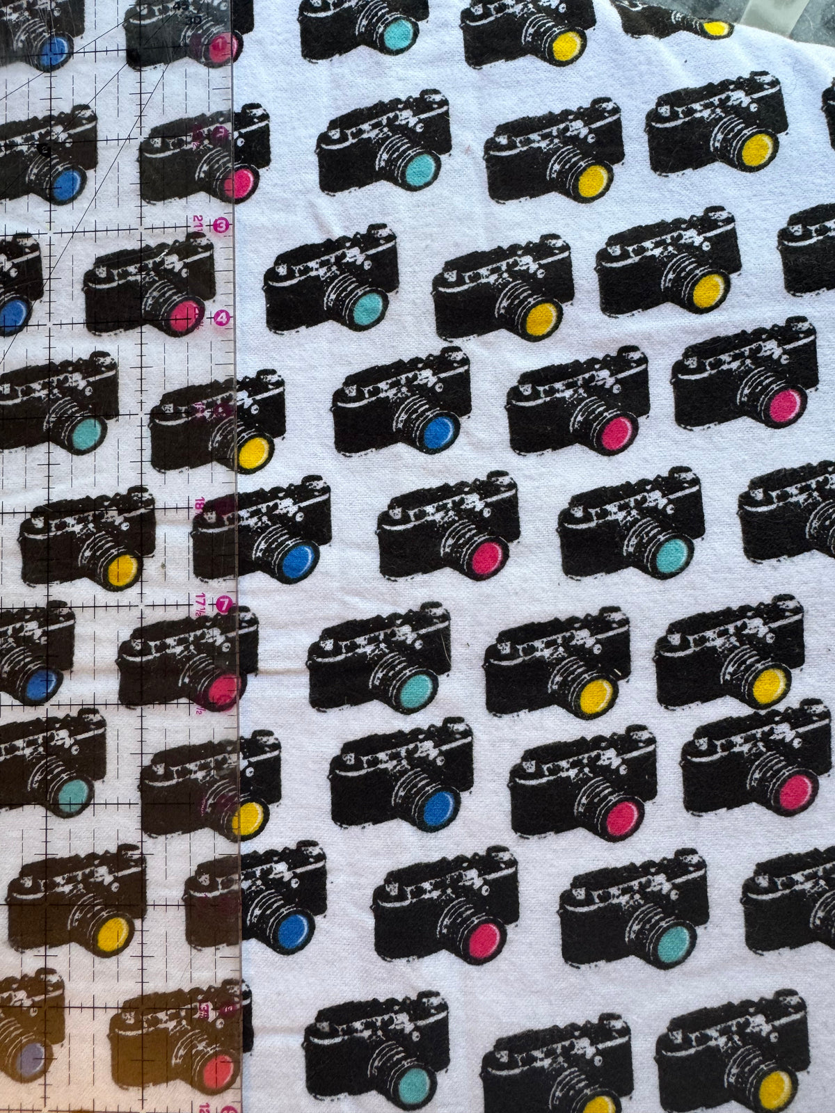 Camera Fleece 2 Yards Blanket Backing