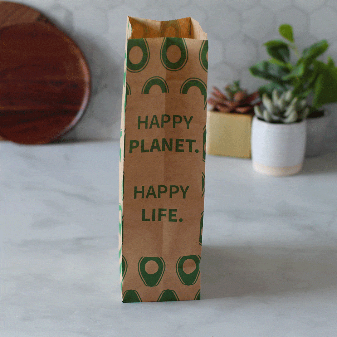 Recyclable Paper Lunch Sacs Variety Pack - Lunchskins
