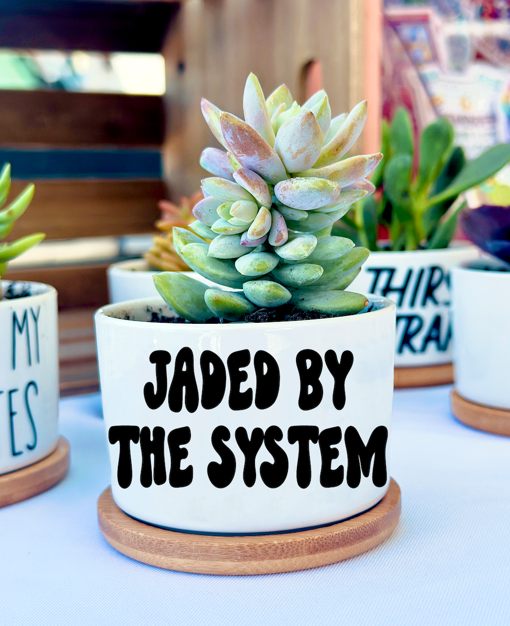 Funny, Cute and Sarcastic Mini Planters