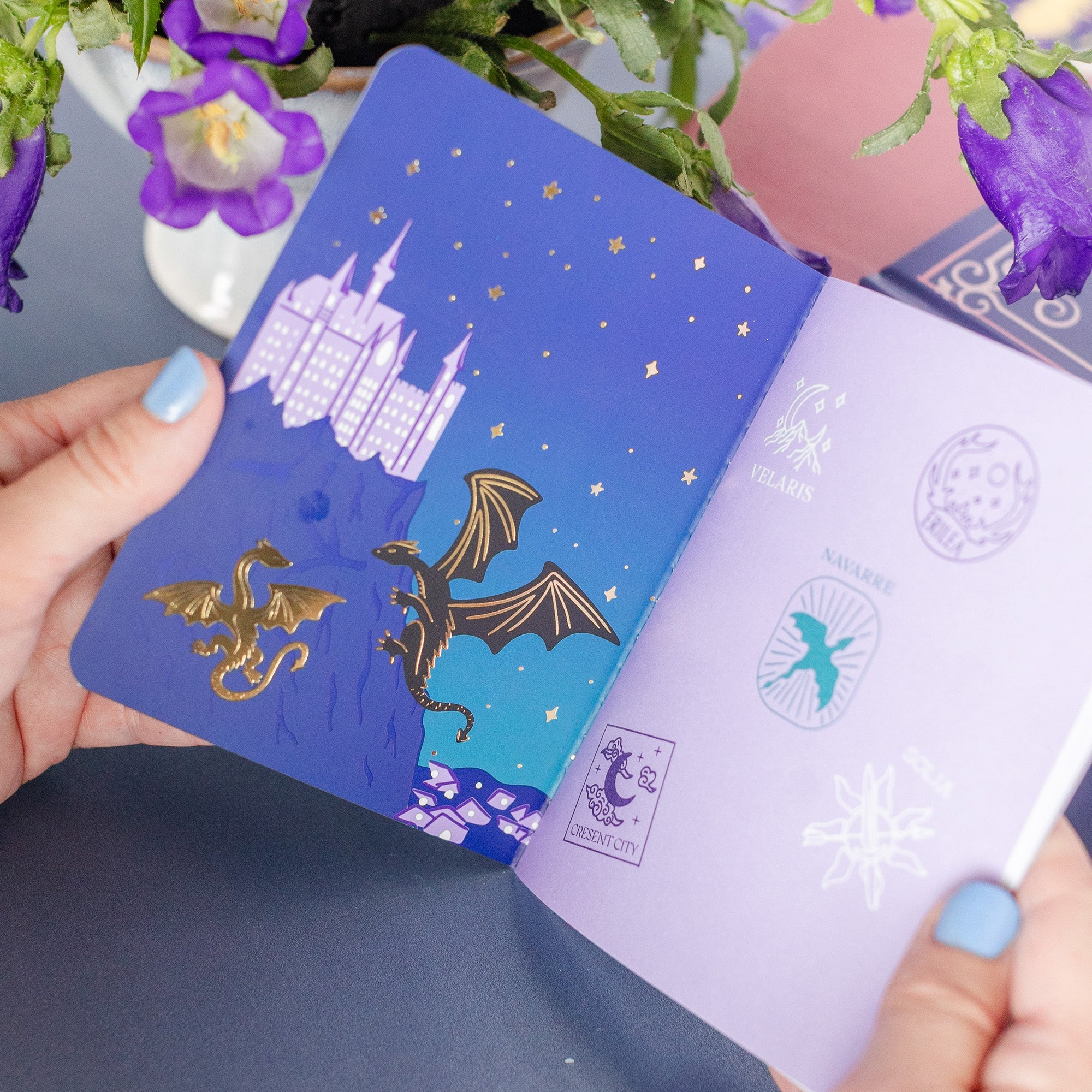 Fantasy Realm Passport Guidebook, Jollity & Co