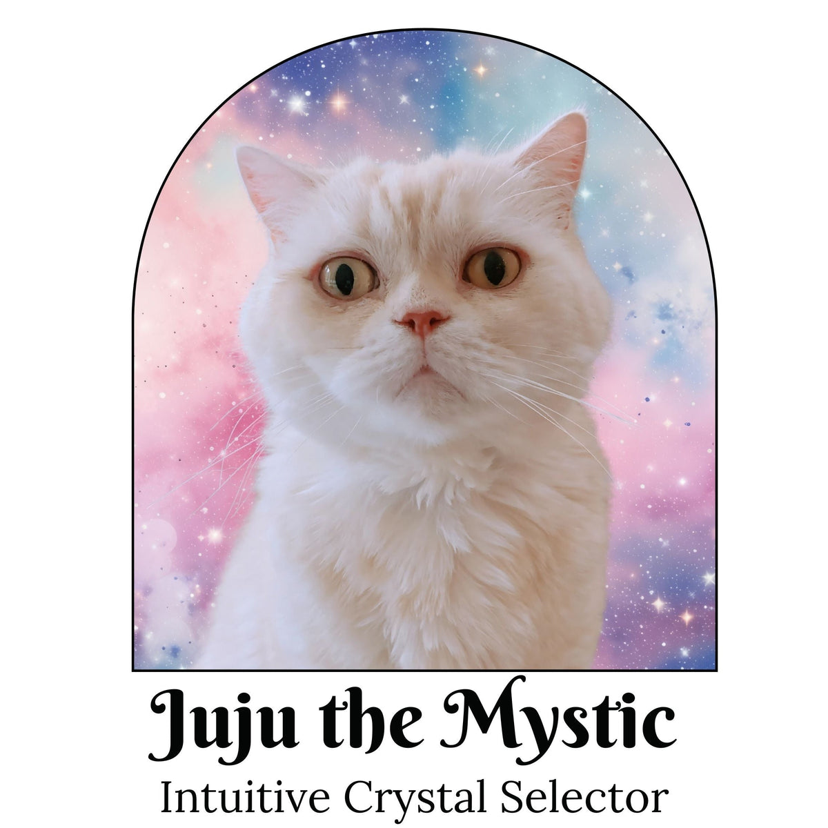 A white fluffy cat centered inside an arched pastel galaxy frame, with the text &